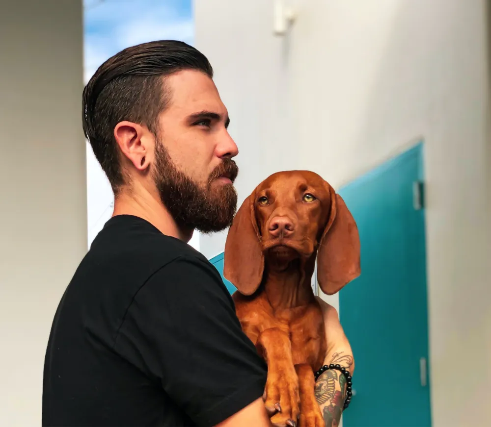 Fames Acturpis Egestas Sedtempus article thumb 2 optimized