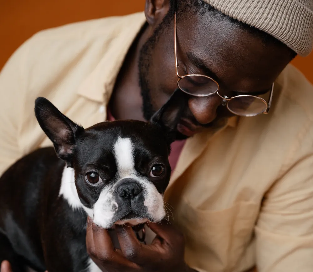 Mauris Vitae Ultricies Leointeger article thumb 3 optimized