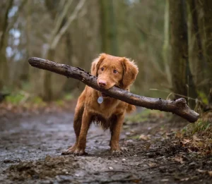 article thumb 8 optimized